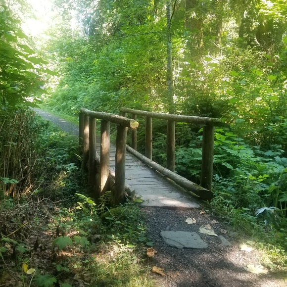 Welcome and Come With Me on My Journey - Picture 2 of 13